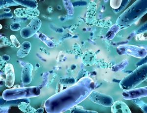 Veränderungen der Darm-Mikrobiota sind mit zahlreichen Erkrankungen, unter anderem mit dem Reizdarmsyndrom, assoziiert. Bildnachweis: AdobeStock_279829306_picture-waterfall